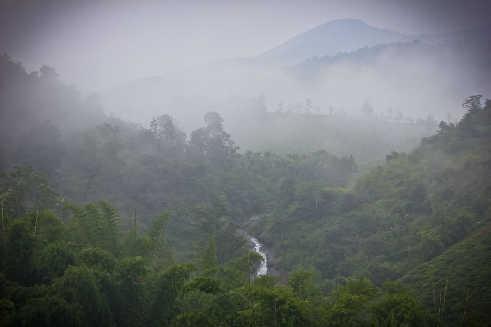Photo of Trip to Wayanad by Medha Dwivedi