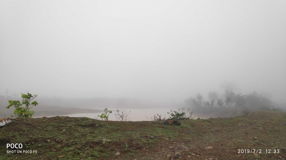 Photo of बोरगांव, Maharashtra, India by Pooja Saxena