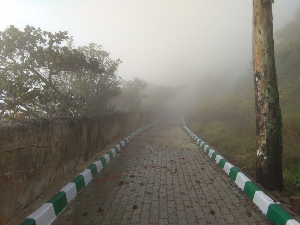 Photo of A Chilling Serenity: Nandi Hills by Glan Stalin D'souza