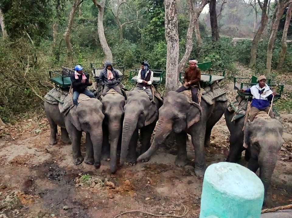 Photo of Kaziranga National Park, Kanchanjuri, Assam, India by Tejas Ghorpade