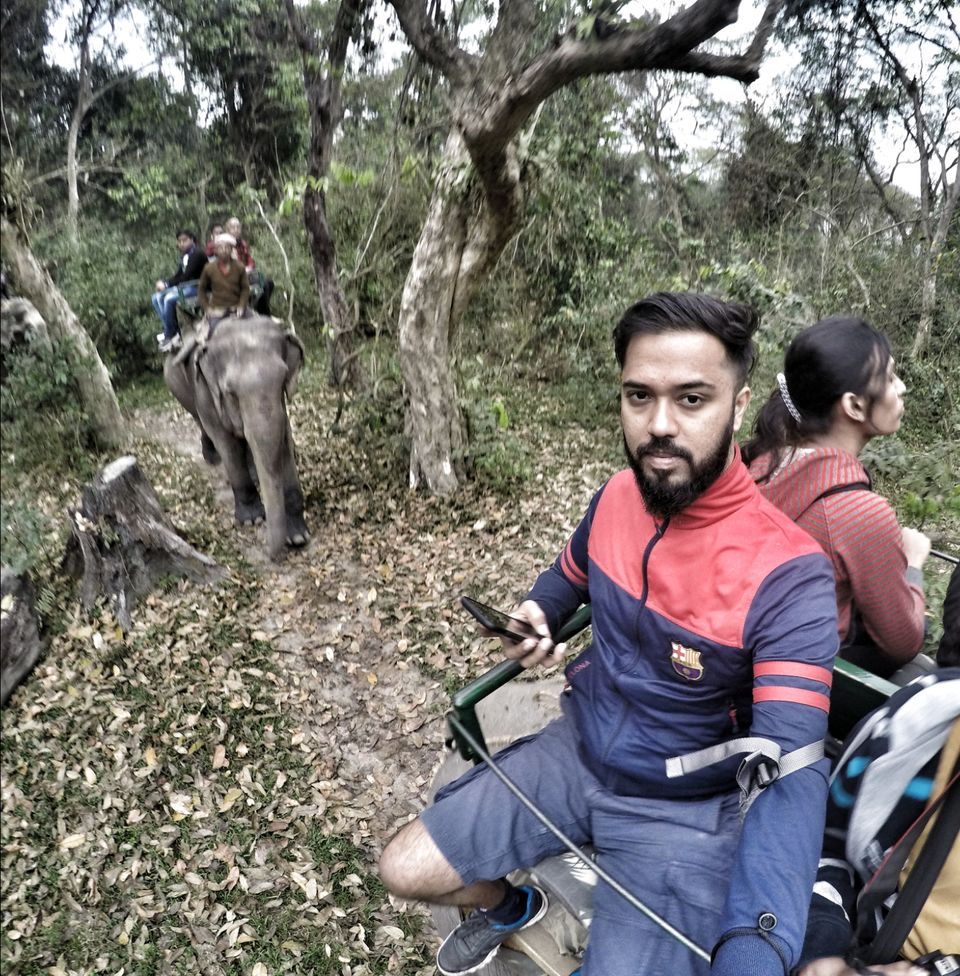 Photo of Kaziranga National Park, Kanchanjuri, Assam, India by Tejas Ghorpade