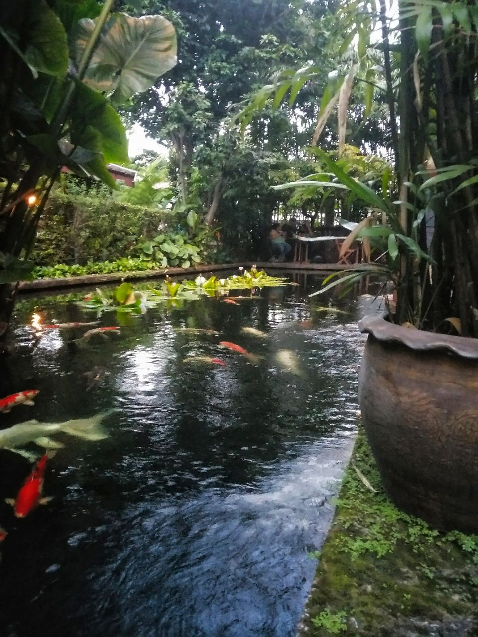 Photo of 7 Days in Thailand: A photoguide to Bangkok and Pattaya #thailandinpictures by Tejas Ghorpade