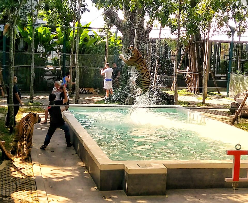 Photo of 7 Days in Thailand: A photoguide to Bangkok and Pattaya #thailandinpictures by Tejas Ghorpade