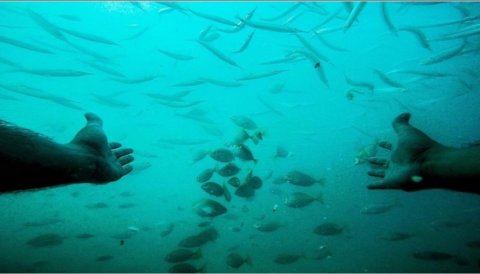 Photo of The Coral Islands, Koh Larn, Pattaya, Bang Lamung District, Chon Buri, Thailand by Tejas Ghorpade