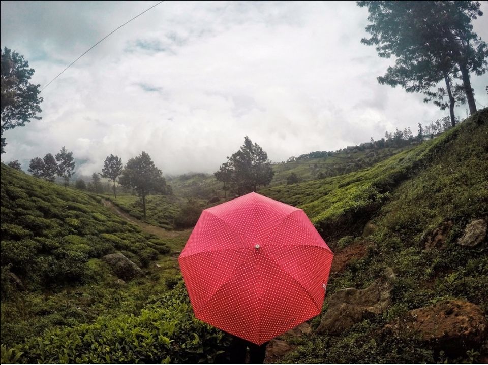 Photo of Mesmerizing Munnar : A photo itinerary #notinnorth by Tejas Ghorpade