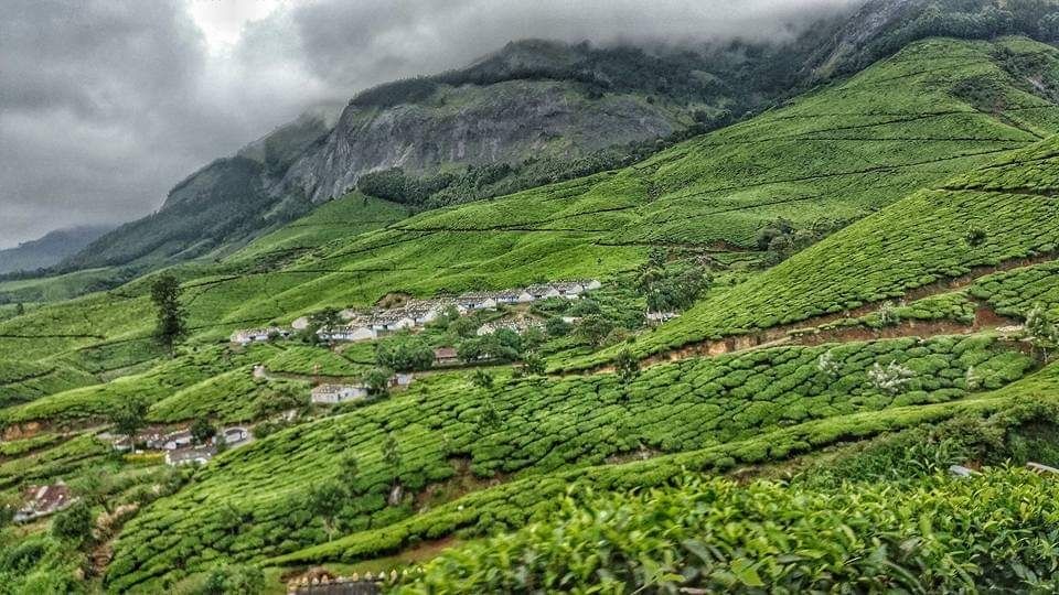 Photo of Mesmerizing Munnar : A photo itinerary #notinnorth by Tejas Ghorpade