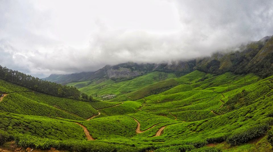 Photo of Mesmerizing Munnar : A photo itinerary #notinnorth by Tejas Ghorpade