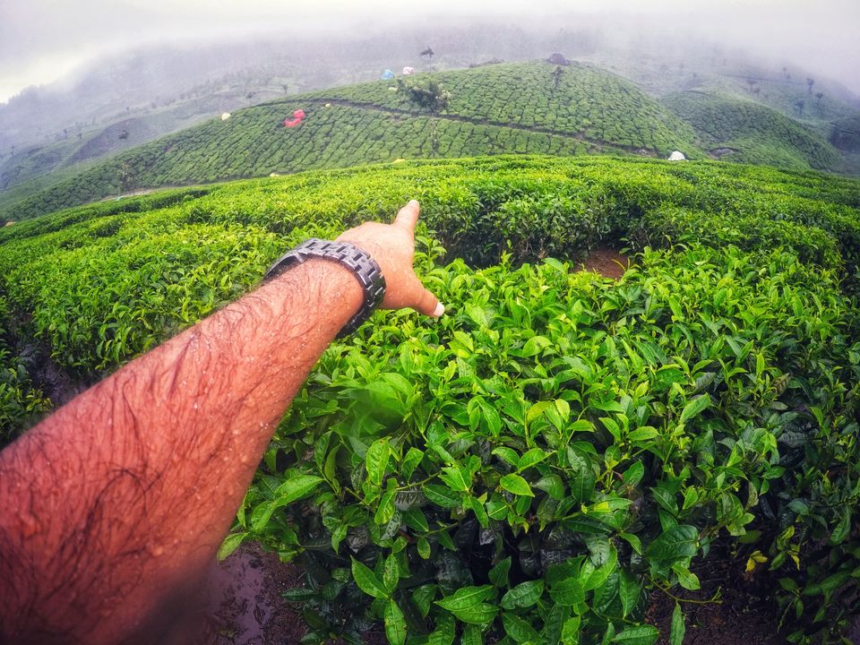 Photo of Mesmerizing Munnar : A photo itinerary #notinnorth by Tejas Ghorpade