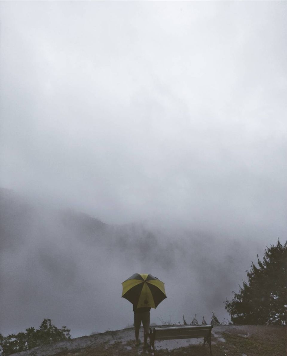 Photo of Mesmerizing Munnar : A photo itinerary #notinnorth by Tejas Ghorpade