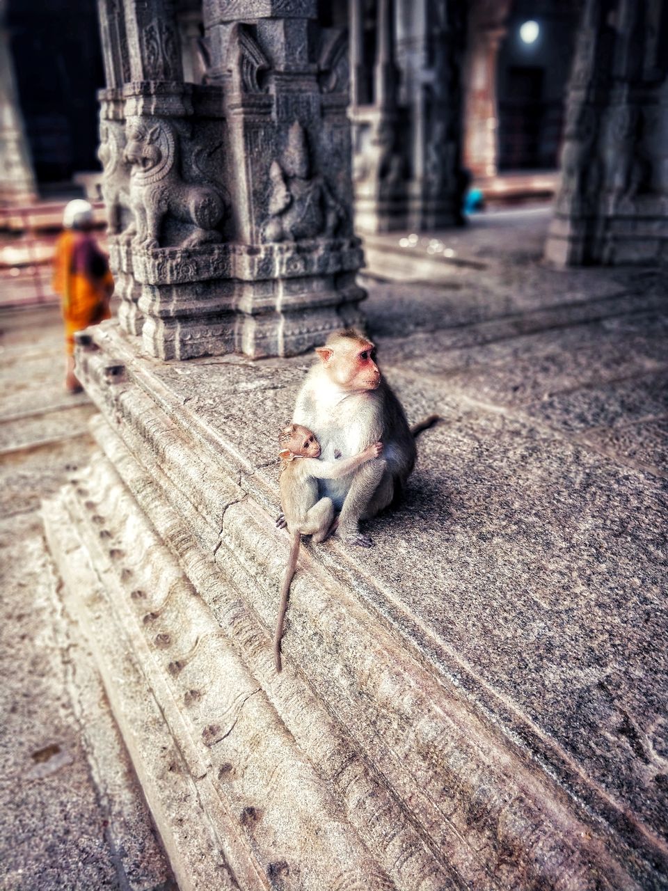 Photo of Gateway to an ancient world: A photoguide to Hampi #Hampipictures by Tejas Ghorpade