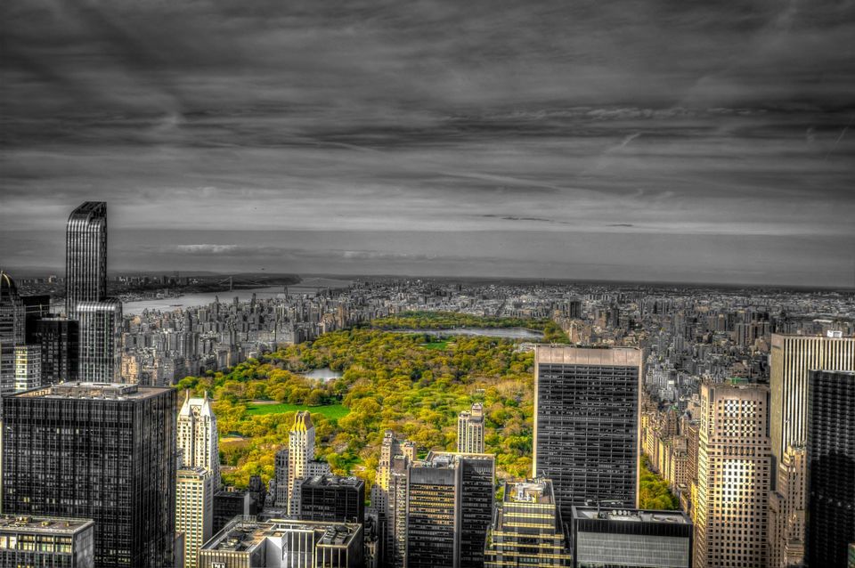 Photo of Chaos & calm in New York City 2/8 by VAMSY KRISHNA