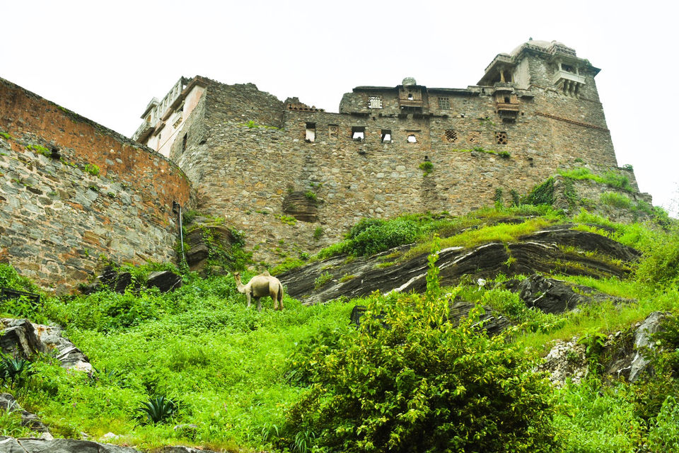Photo of Solo In Udaipur - The Heart Of Rajasthan by Amit Sachdeva