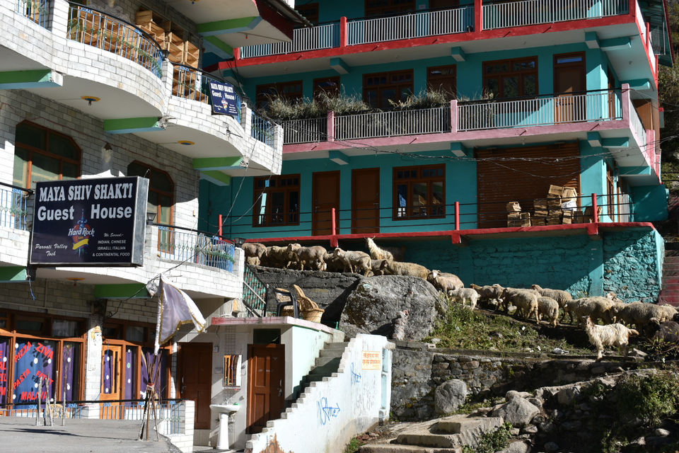 Photo of Extended Weekend Extended Fun In Himachal by Amit Sachdeva