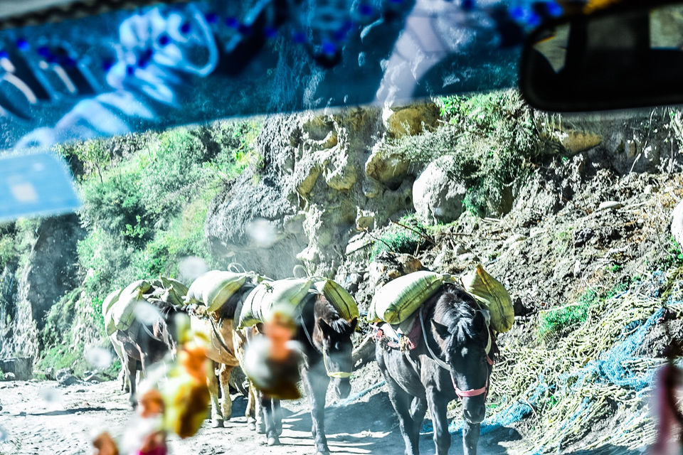 Photo of Extended Weekend Extended Fun In Himachal by Amit Sachdeva