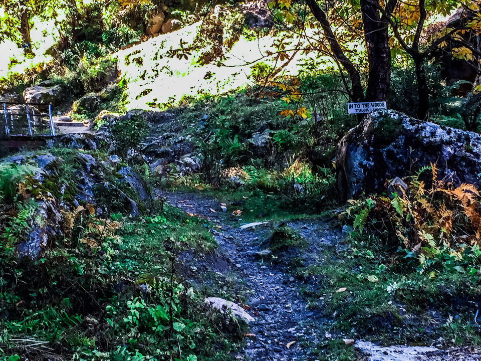Photo of Extended Weekend Extended Fun In Himachal by Amit Sachdeva