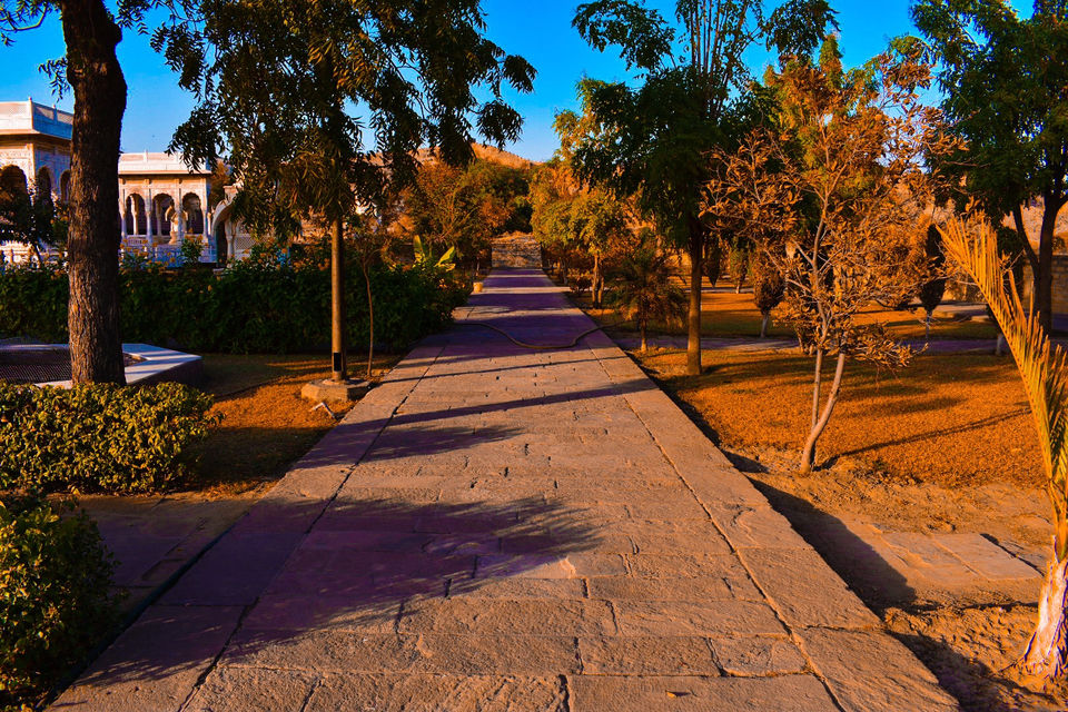 Photo of Yearend In Jodhpur - Jaisalmer by Amit Sachdeva