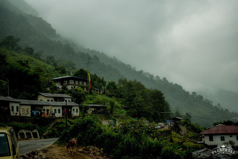 Photo of Amazing Bhutan by Amit Sachdeva