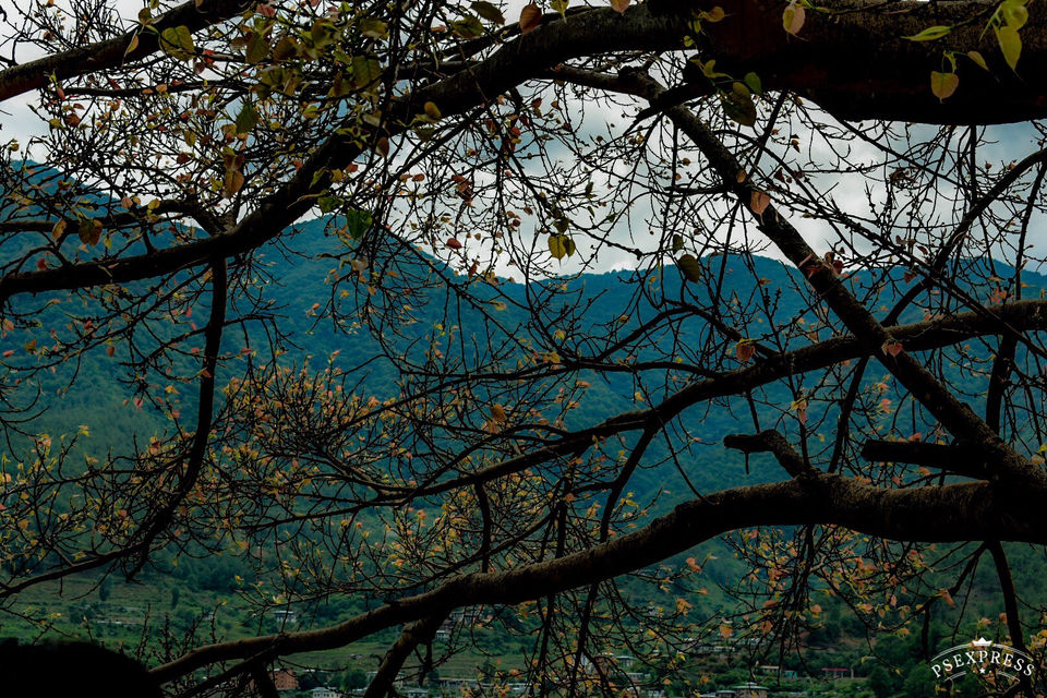Photo of Amazing Bhutan by Amit Sachdeva