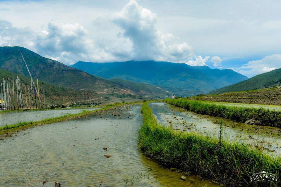 Photo of Amazing Bhutan by Amit Sachdeva