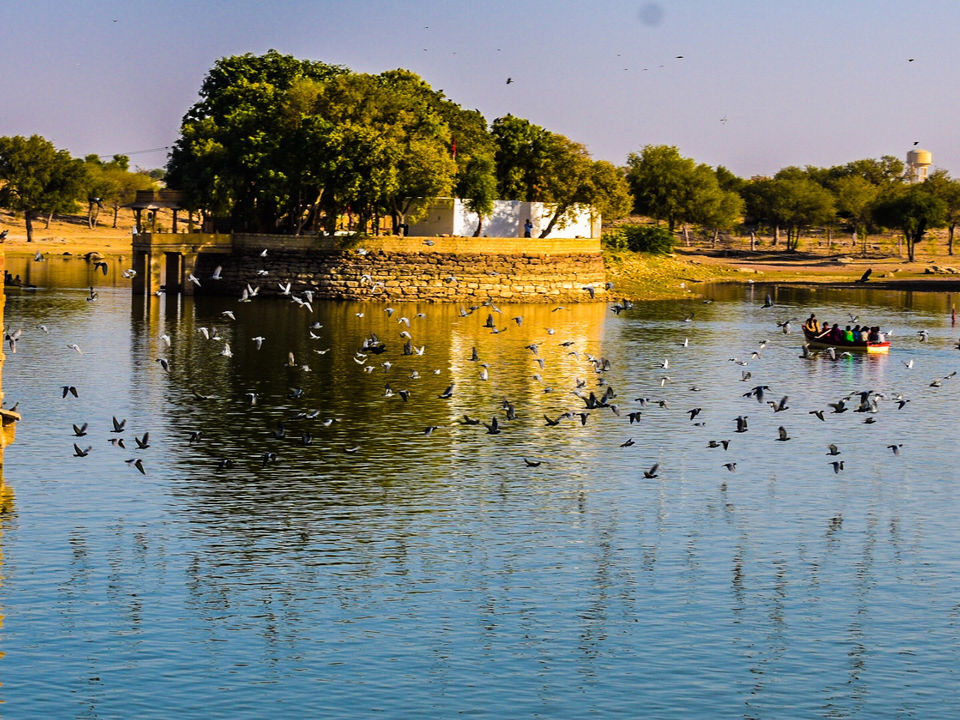 Photo of Yearend In Jodhpur - Jaisalmer by Amit Sachdeva