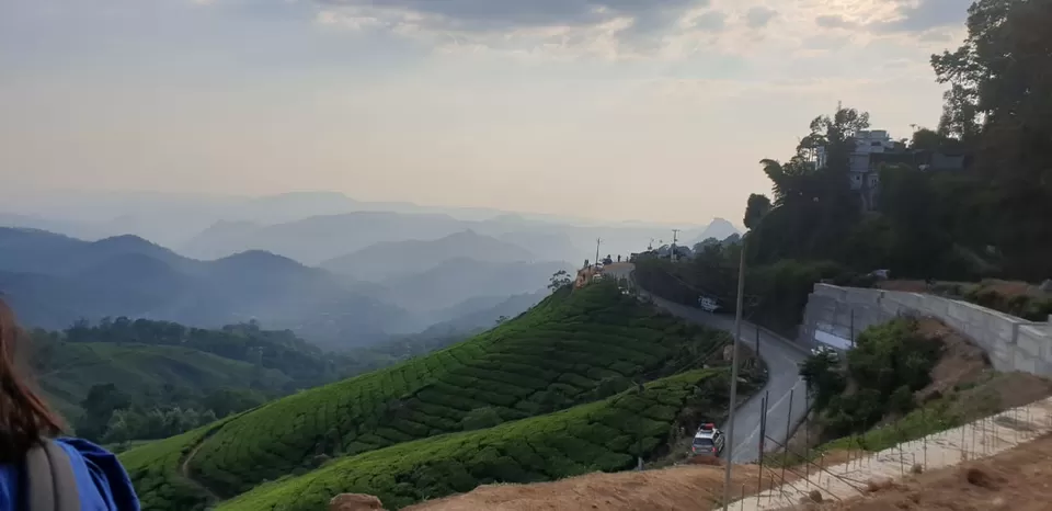 Photo of Kerela - What to do and where - Cochin, Munnar, Thekkady And Alleppey - A Surreal Experience by Shikha Bhatt