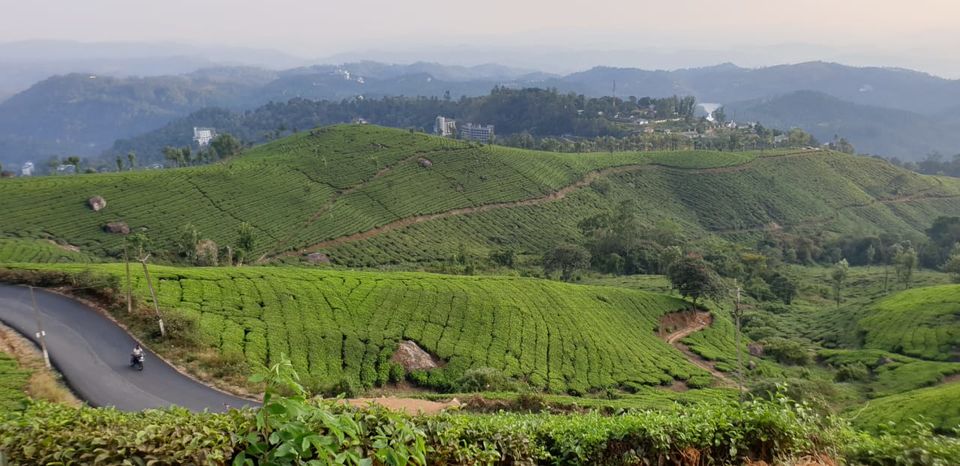 Photo of Kerela - What to do and where - Cochin, Munnar, Thekkady And Alleppey - A Surreal Experience by Shikha Bhatt