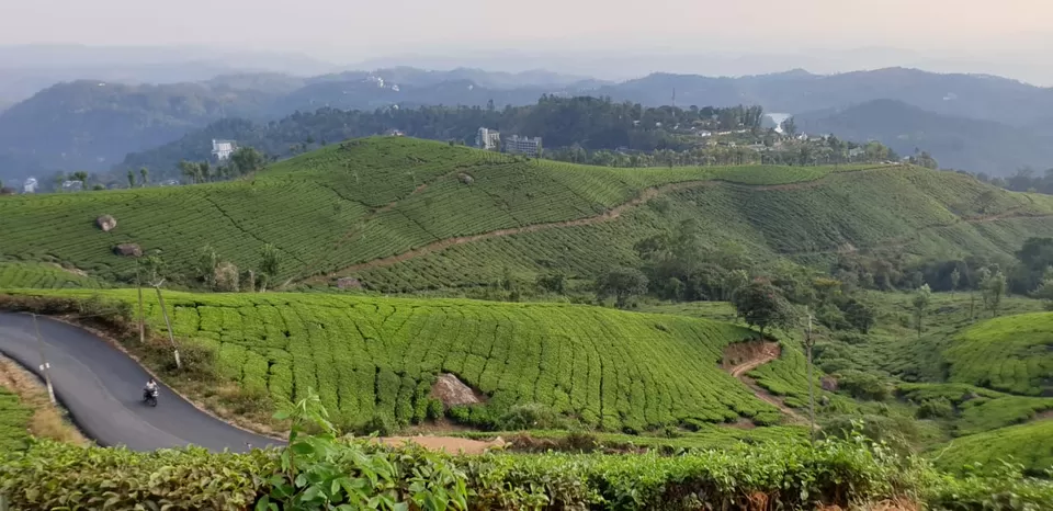 Photo of Kerela - What to do and where - Cochin, Munnar, Thekkady And Alleppey - A Surreal Experience by Shikha Bhatt
