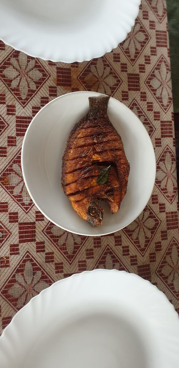 Photo of Kerela - What to do and where - Cochin, Munnar, Thekkady And Alleppey - A Surreal Experience by Shikha Bhatt