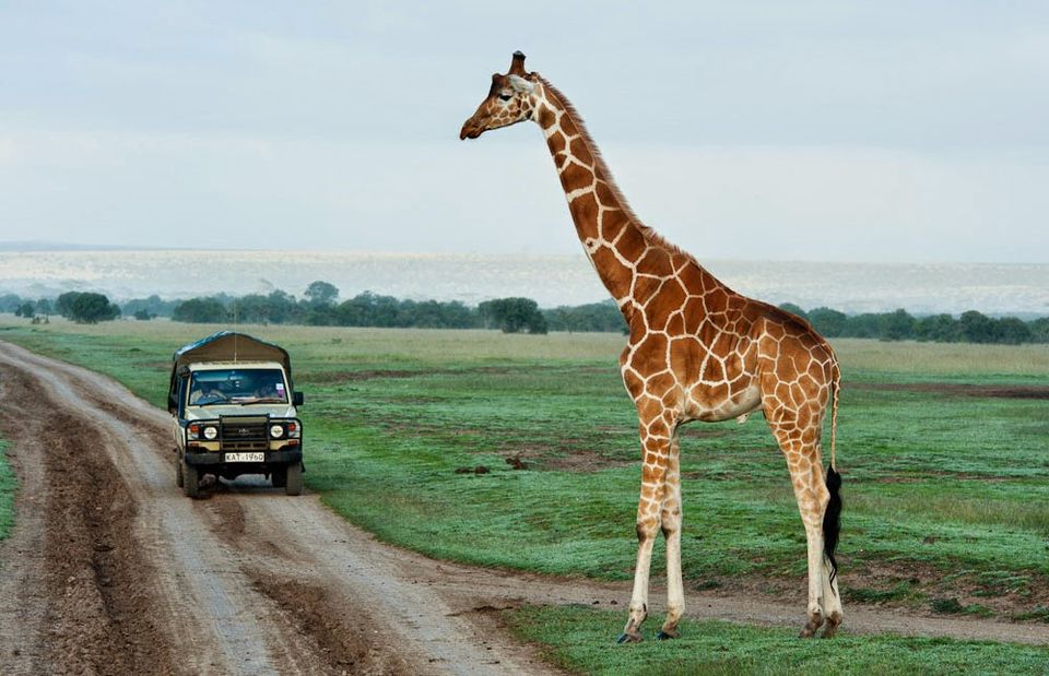 Photo of Ol Pejeta: Wildlife for Food 4/5 by Shikha Bhatt
