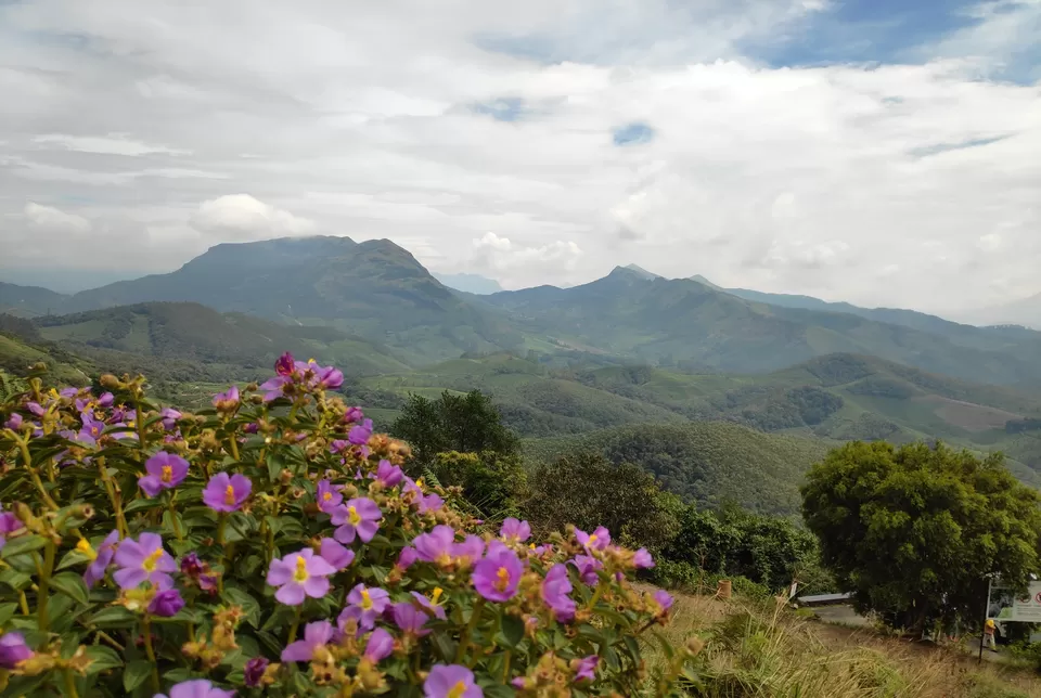 Photo of Eravikulam National Park, Kerala, India by Aishwarya Raj