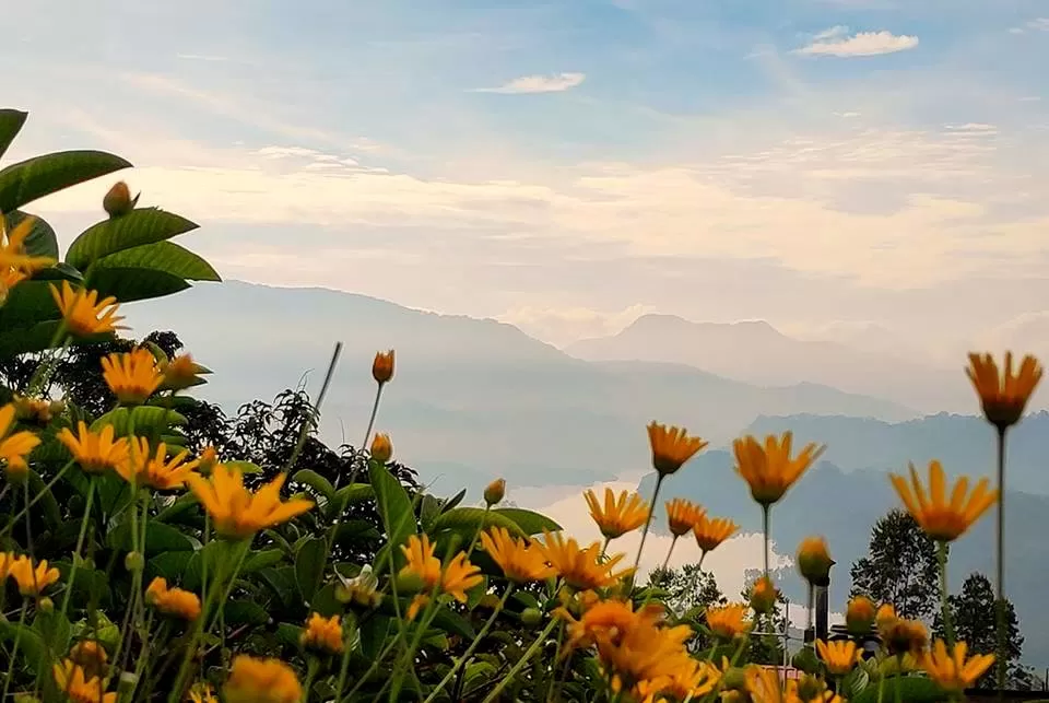 Photo of Munnar, Kerala, India by Aishwarya Raj