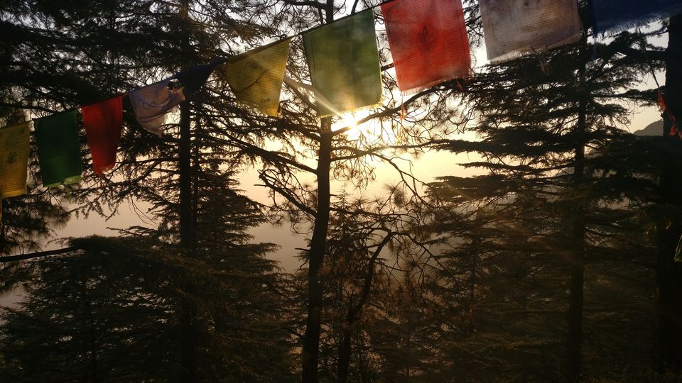 Photo of Bir-Billing: Where your dreams take a flight! 19/30 by Aishwarya Raj