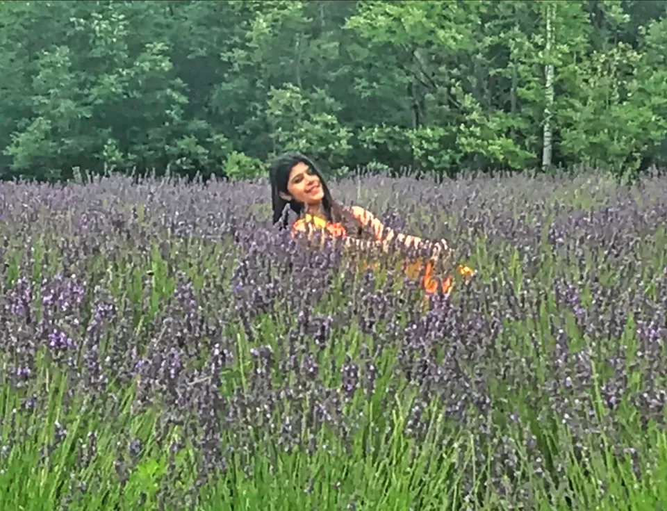 Photo of Terre Bleu Lavender Farm, 25 Side Road, Milton, ON, Canada by Sudipta Nandy