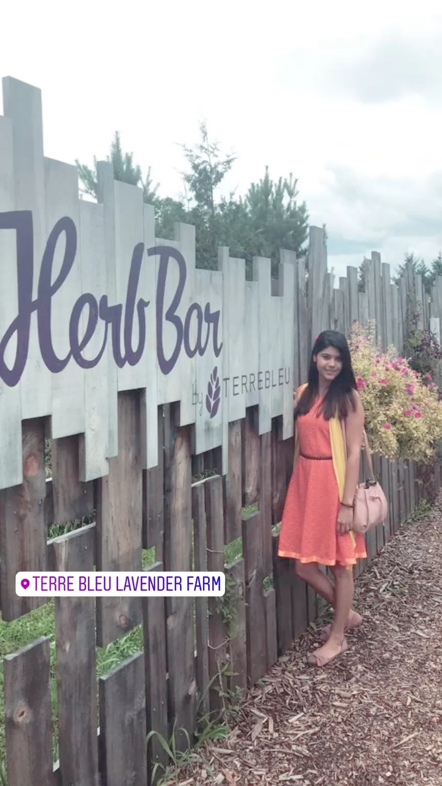 Photo of Terre Bleu Lavender Farm, 25 Side Road, Milton, ON, Canada by Sudipta Nandy
