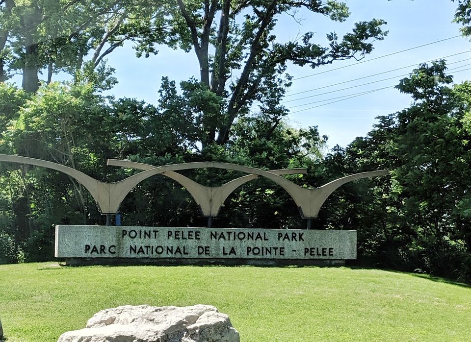 Photo of Point Pelee National Park, Point Pelee Drive, Leamington, ON, Canada by Sudipta Nandy