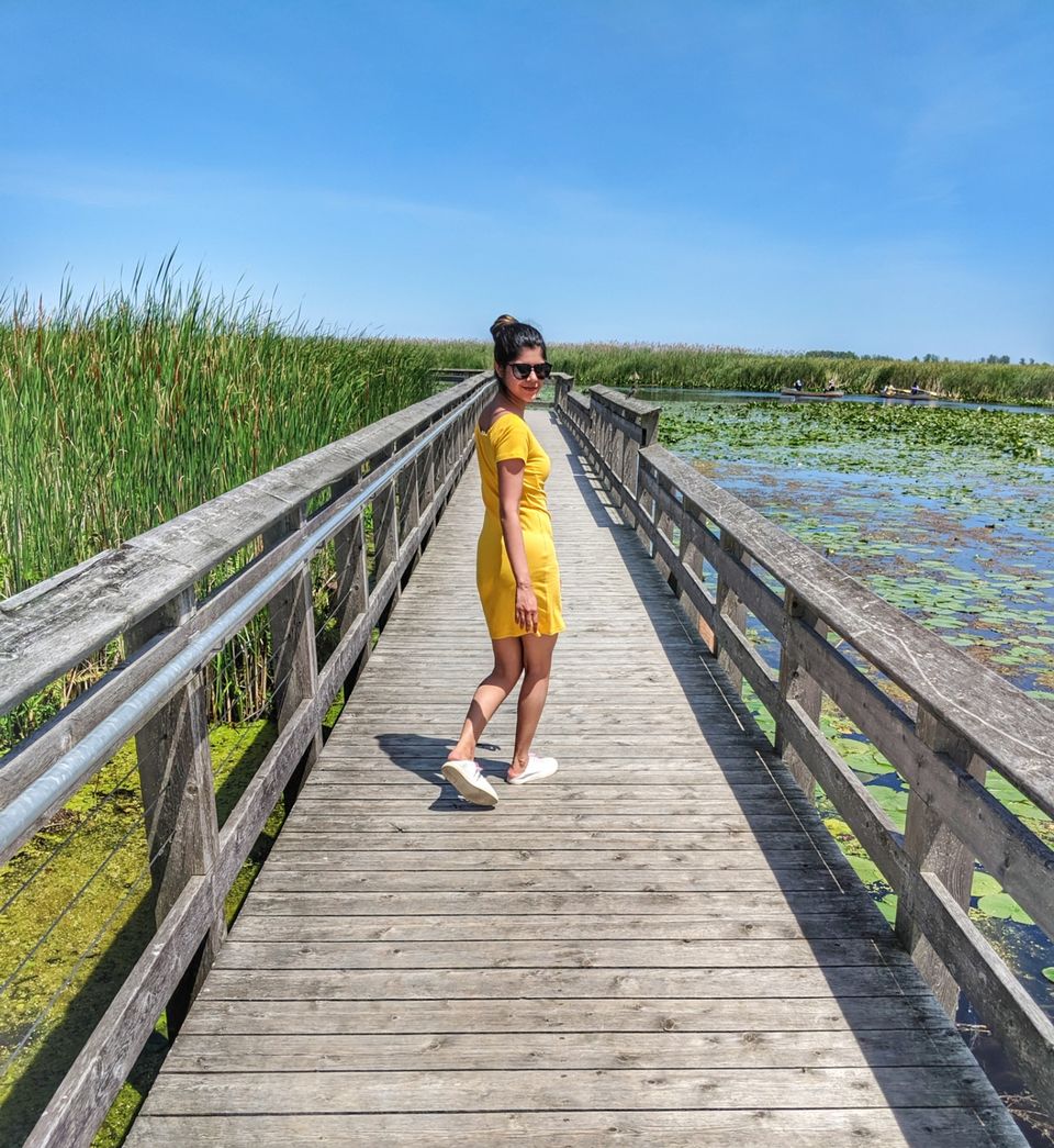 Photo of Point Pelee National Park, Point Pelee Drive, Leamington, ON, Canada by Sudipta Nandy