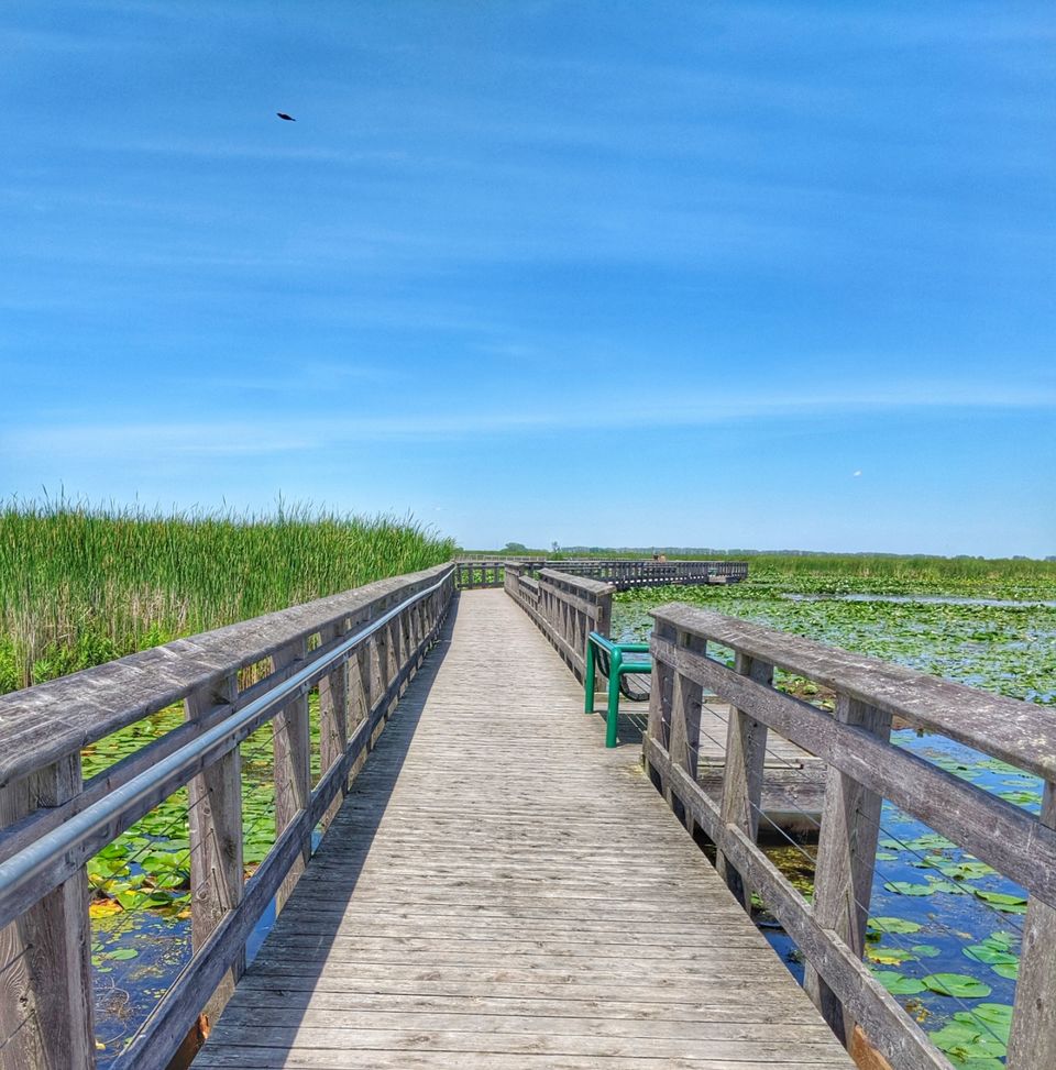 Photo of Point Pelee National Park, Point Pelee Drive, Leamington, ON, Canada by Sudipta Nandy