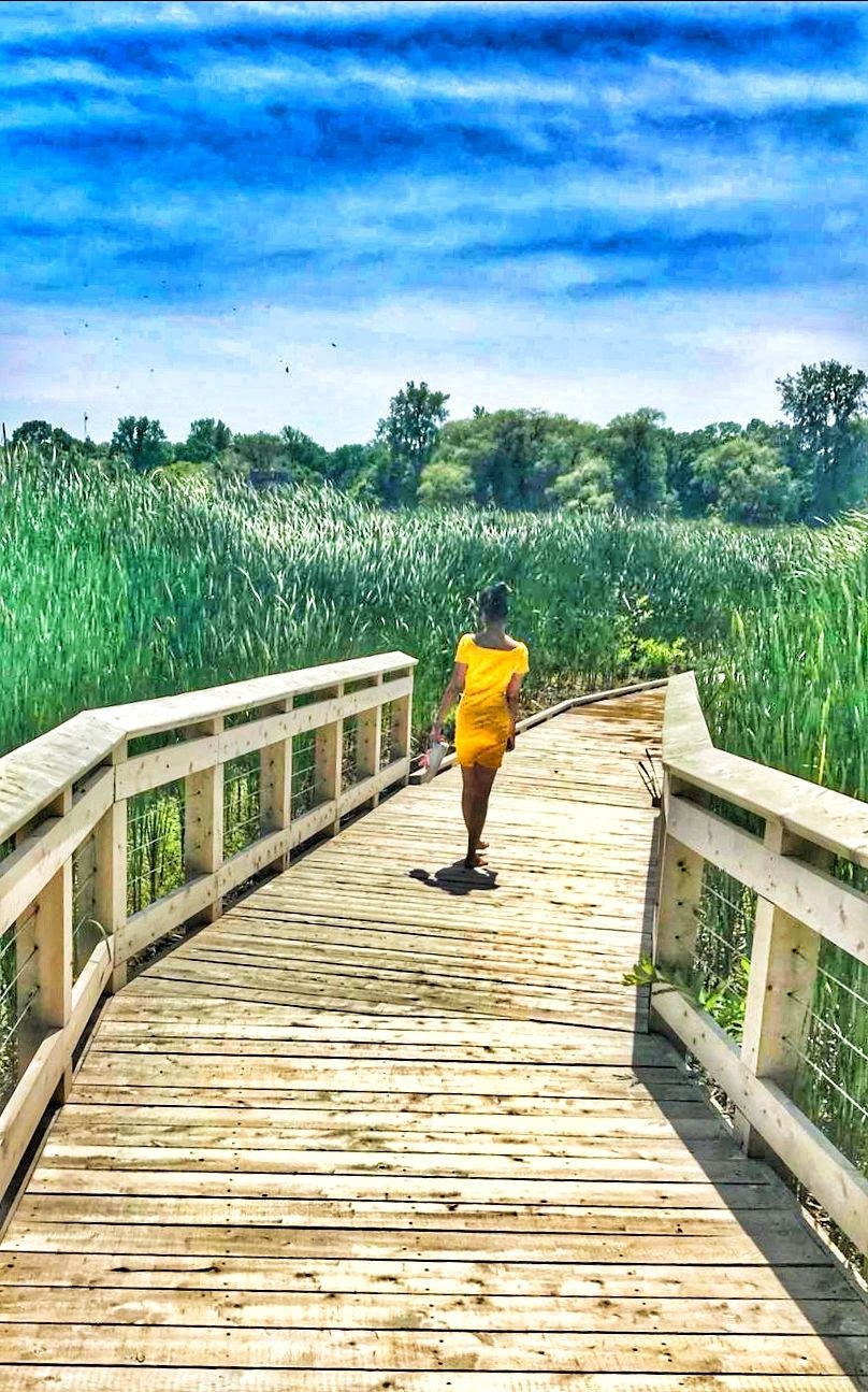 Photo of Point Pelee National Park, Point Pelee Drive, Leamington, ON, Canada by Sudipta Nandy