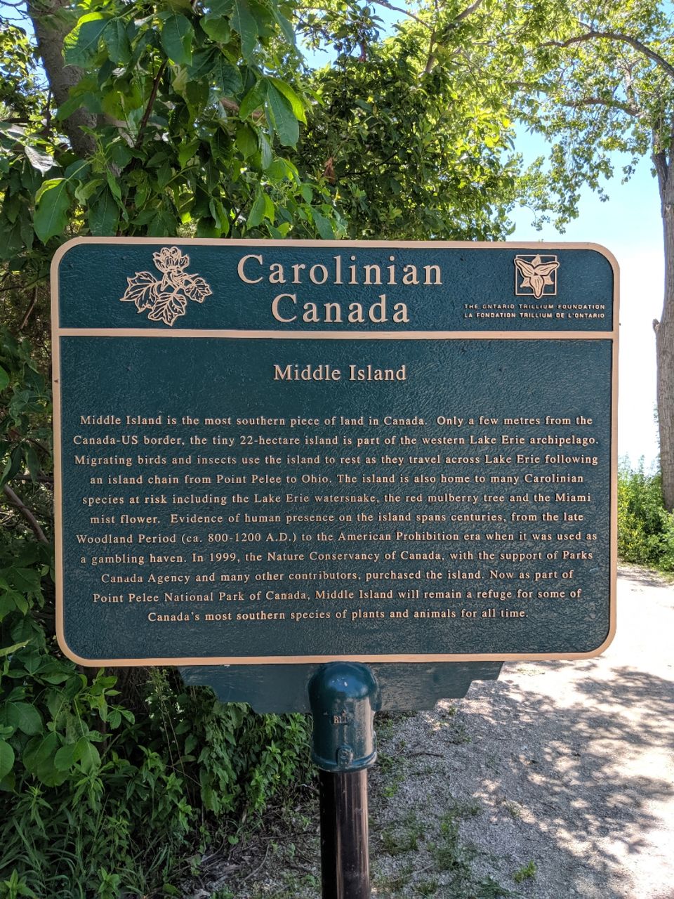 Photo of Point Pelee National Park, Point Pelee Drive, Leamington, ON, Canada by Sudipta Nandy
