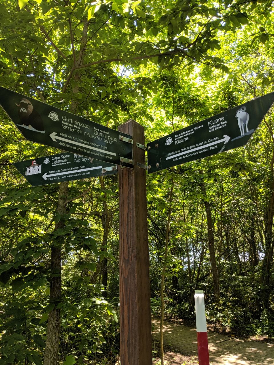 Photo of Point Pelee National Park, Point Pelee Drive, Leamington, ON, Canada by Sudipta Nandy