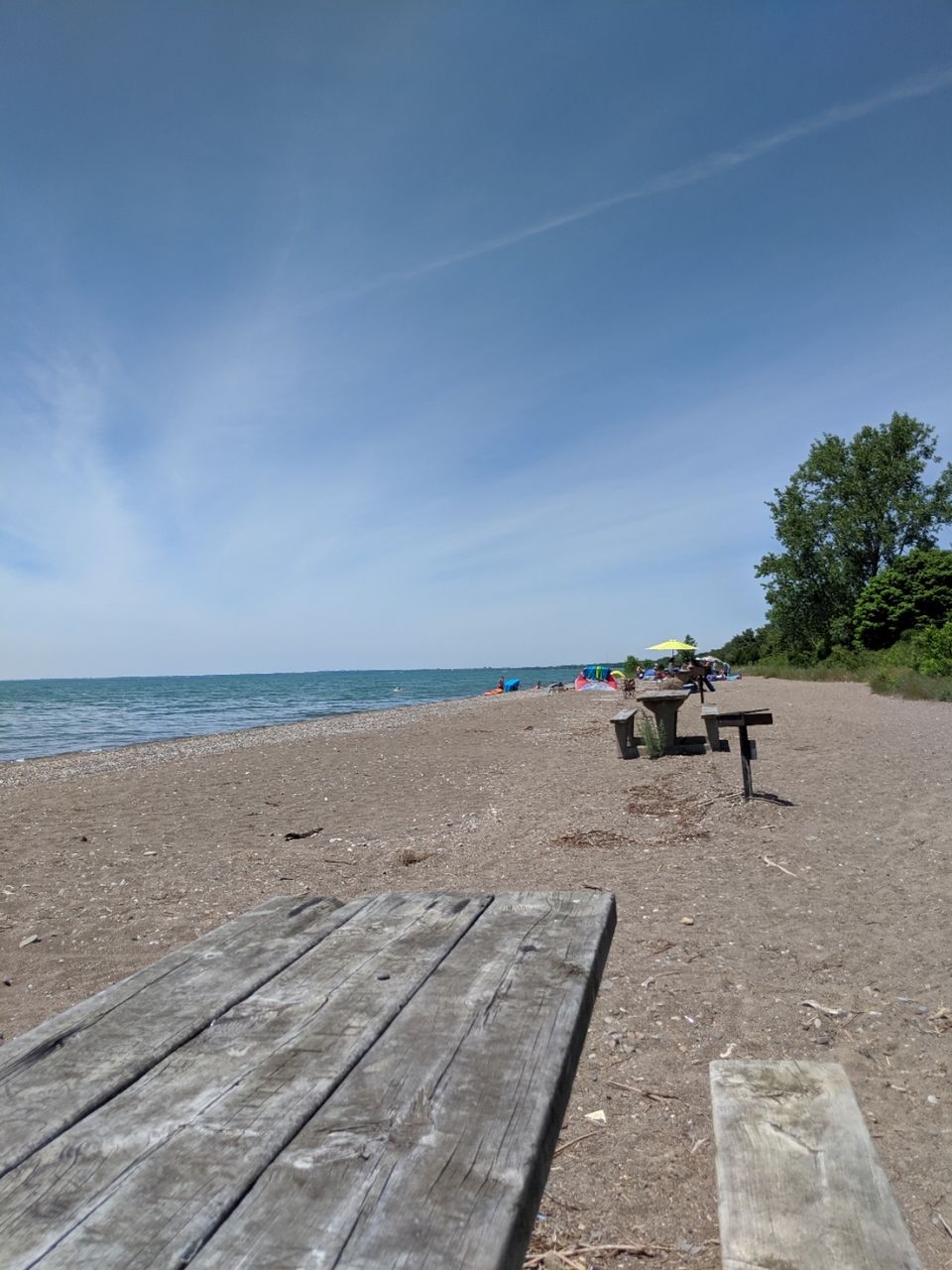 Photo of Point Pelee National Park, Point Pelee Drive, Leamington, ON, Canada by Sudipta Nandy