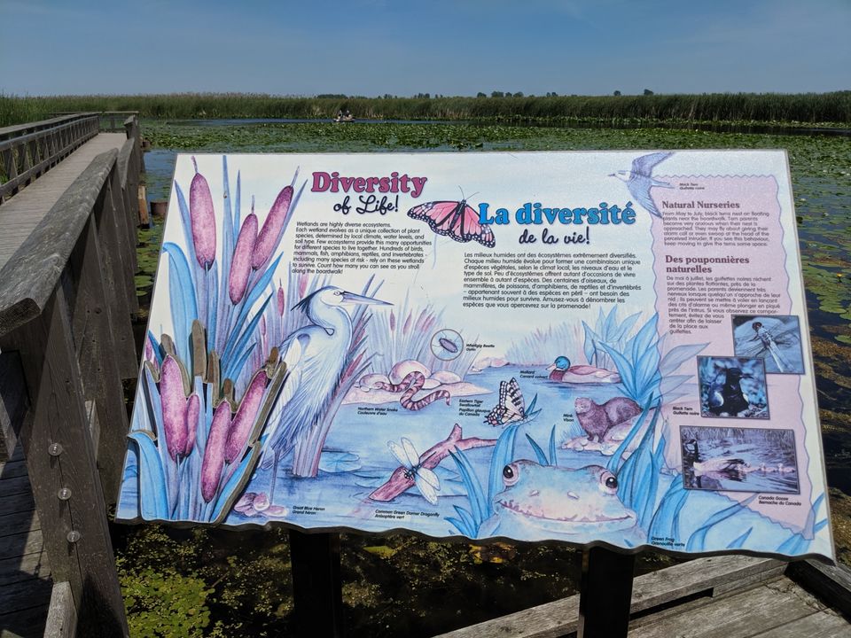 Photo of Point Pelee National Park, Point Pelee Drive, Leamington, ON, Canada by Sudipta Nandy