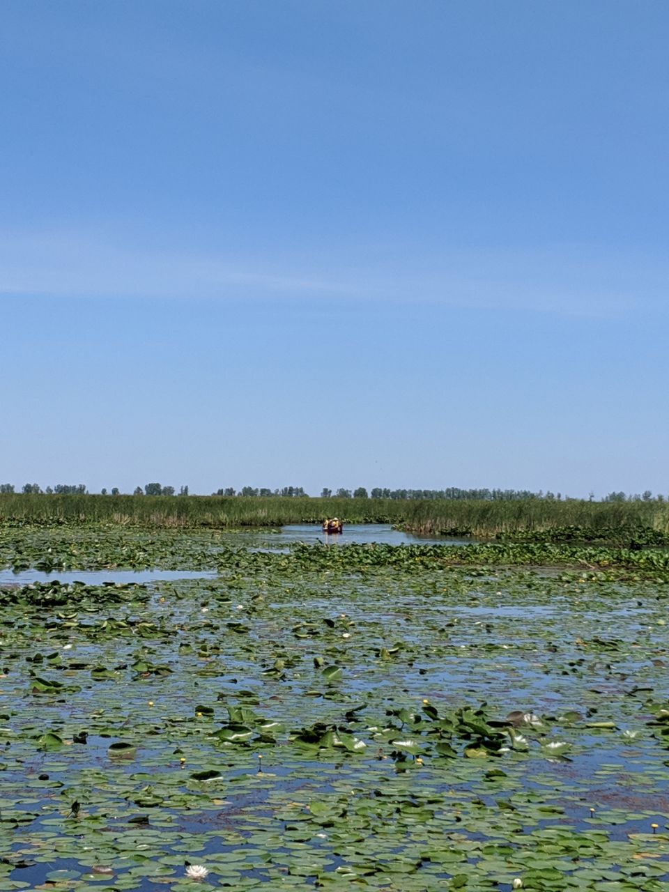 Photo of Point Pelee National Park, Point Pelee Drive, Leamington, ON, Canada by Sudipta Nandy
