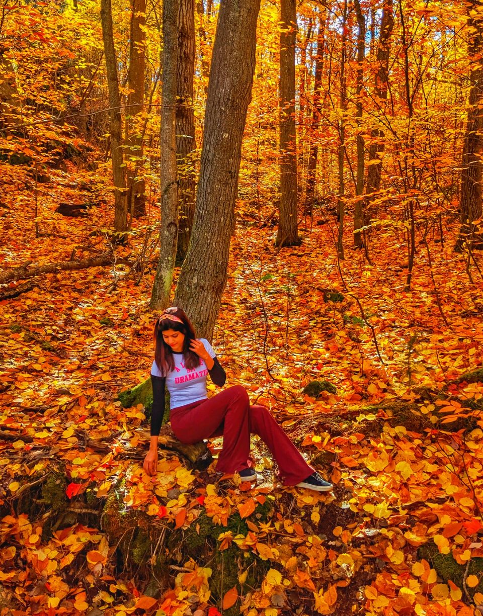 Photo of Algonquin Park, ON, Canada by Sudipta Nandy