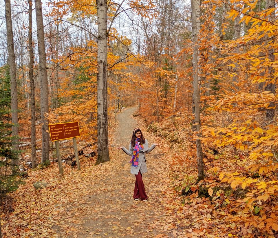 Photo of Algonquin Park, ON, Canada by Sudipta Nandy