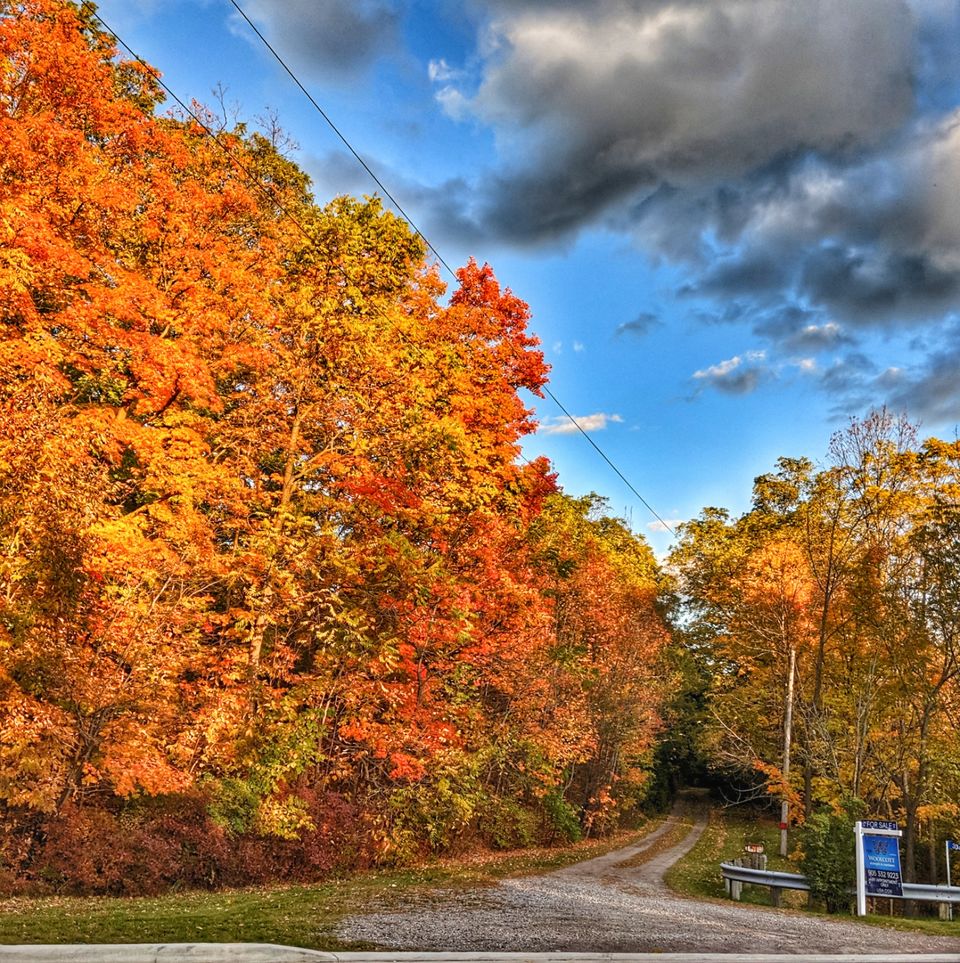 Photo of Dundas Peak Side Trail, Dundas, ON, Canada by Sudipta Nandy