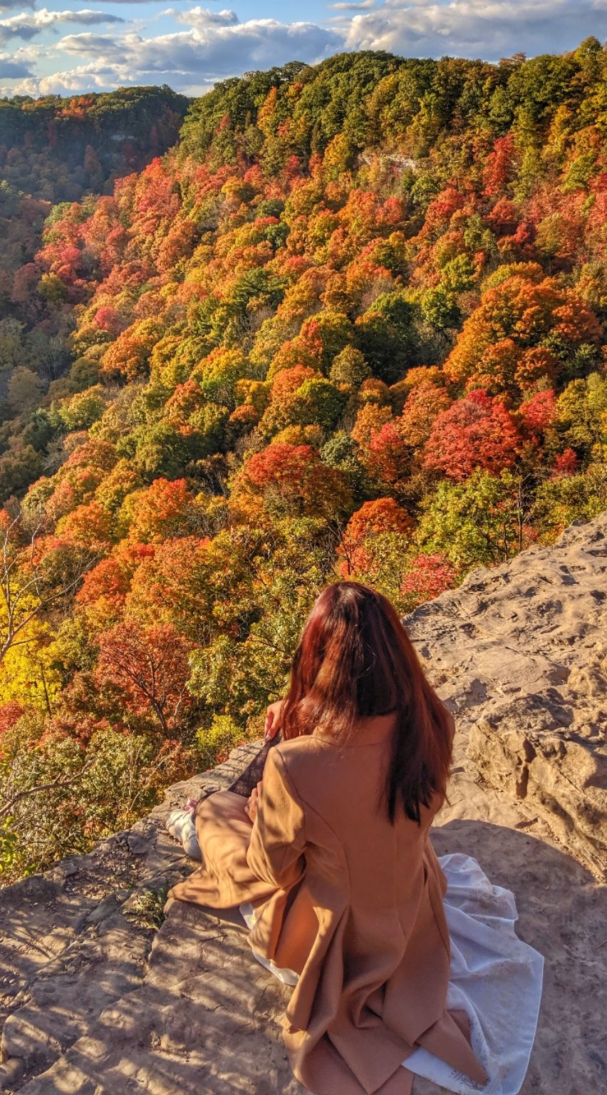 Photo of Dundas Peak Side Trail, Dundas, ON, Canada by Sudipta Nandy