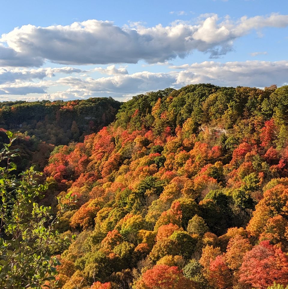 Photo of Dundas Peak Side Trail, Dundas, ON, Canada by Sudipta Nandy