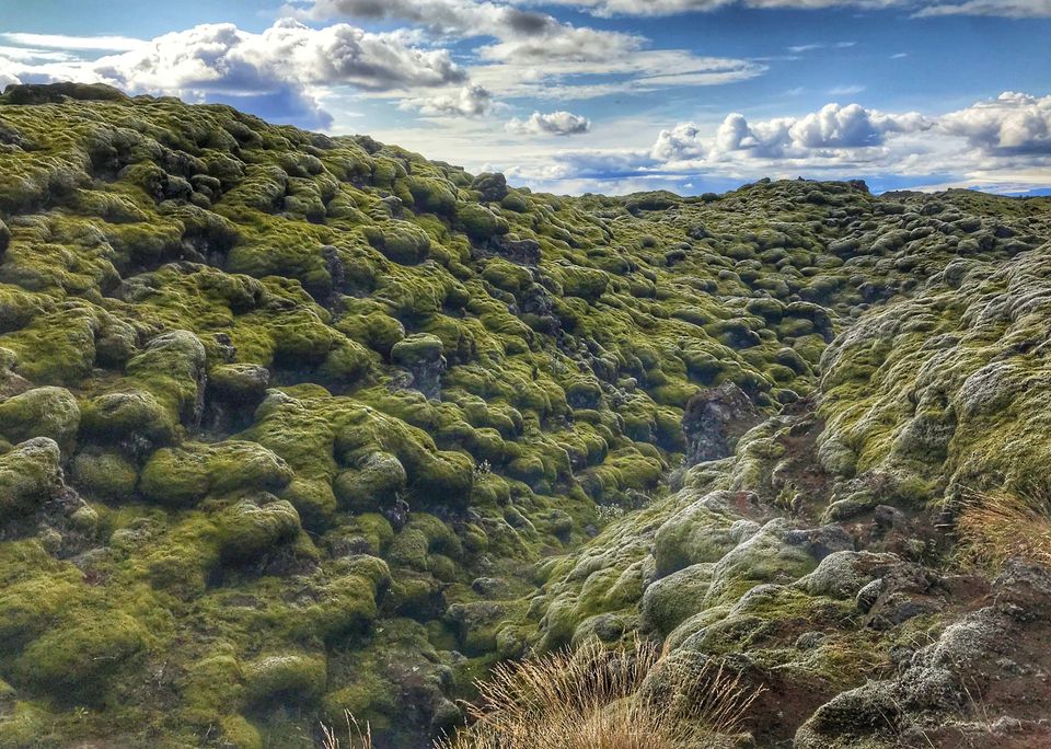 Photo of Adventure in the land of Fire & Ice - 6 days in Iceland 5/107 by Sudipta Nandy