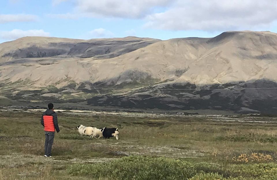 Photo of Icelandic Adventure - Nordic Honeymoon by Sudipta Nandy